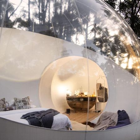 Skyview Bubbletent Eganstown Exteriér fotografie