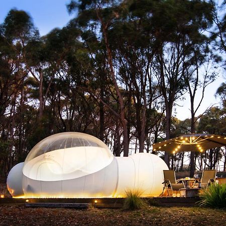 Skyview Bubbletent Eganstown Exteriér fotografie