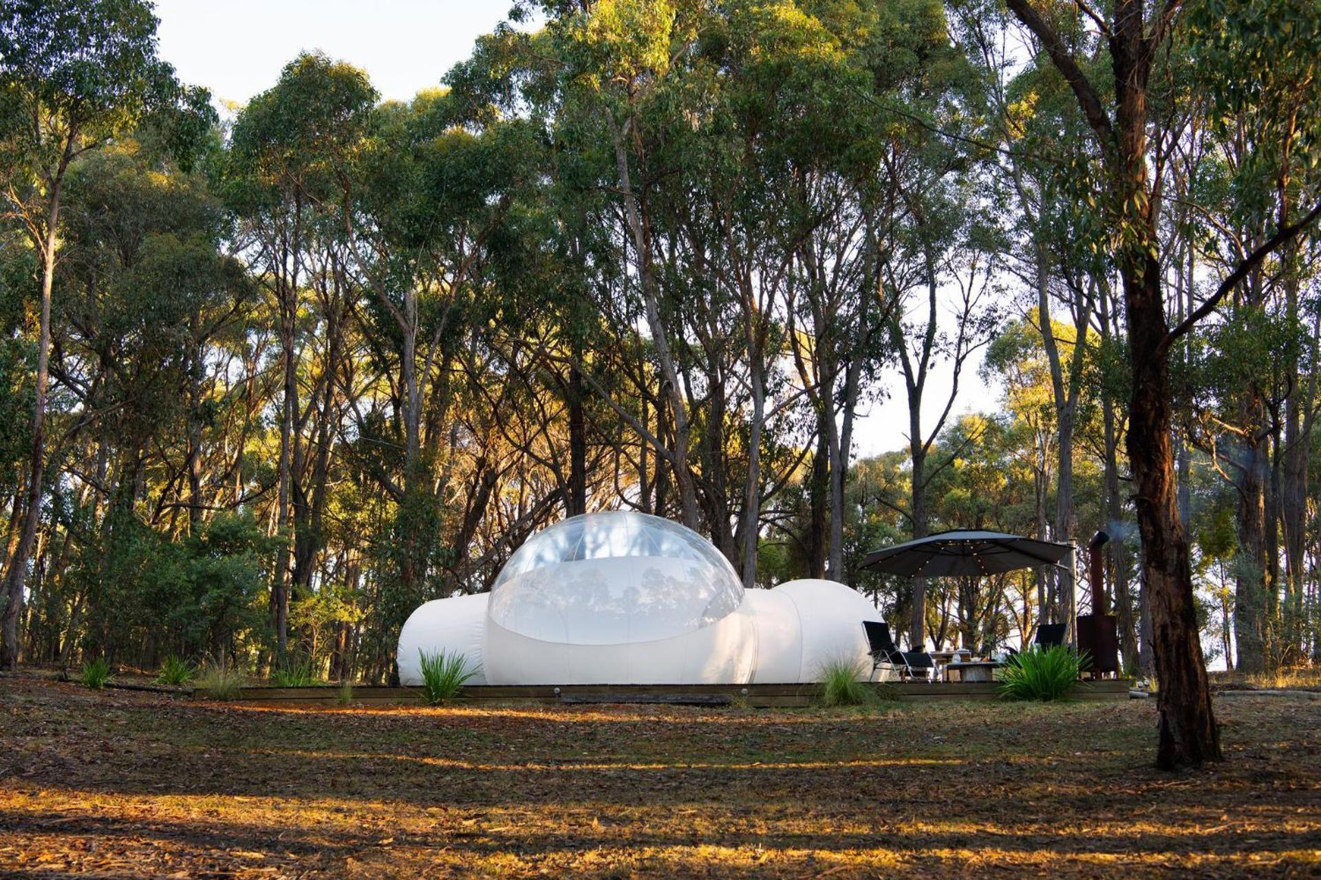 Skyview Bubbletent Eganstown Exteriér fotografie